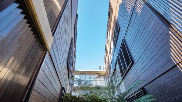 woodlands-04-600x338